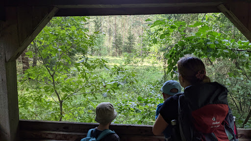 Tierbeobachtungskanzel Gallery - Germany