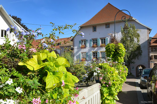Villa Isidore