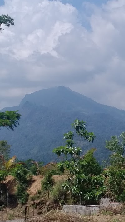 Photos of suraga malti shop