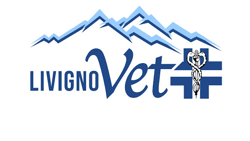 Livigno - Thumbnail