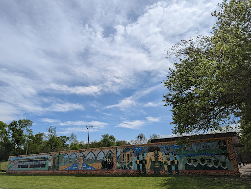 McAlpine Park - Visual