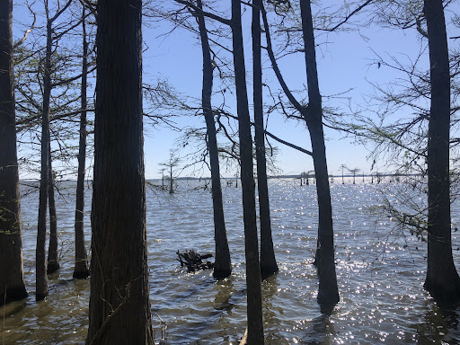 Osprey Nest Campground - Thumbnail