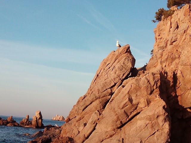 Cala Boadella