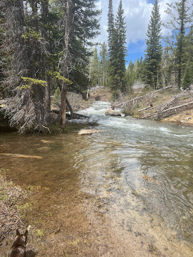North Fork Overflow Campground - Thumbnail