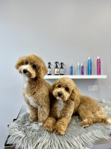 Barkingdales Pet Spa - Thumbnail