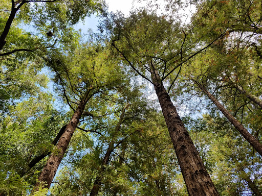 Dolliver Park - Thumbnail