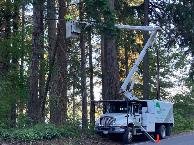 Luisiana Tree Services LLC