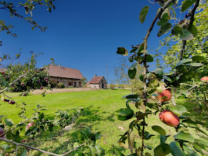 Photo n°10 de Jean-Paul BERNARD agent indépendant immobilier Capifrance traditionnel, neuf, luxe et prestige, secteur Chalon-sur-Saône à Châtenoy-en-Bresse (Expert immobilier)
