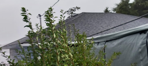 North Coast Roofing - Thumbnail