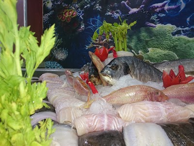 Photos of Kalbaz King Fish