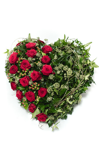 Rupal Florist - Visual