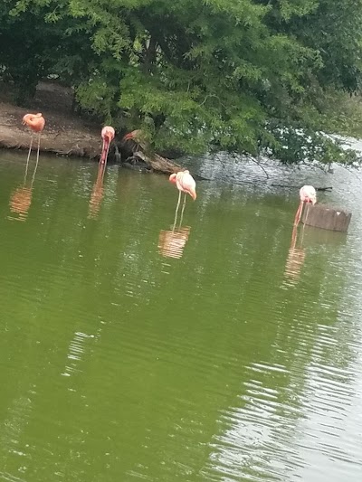 St. Louis Zoo South Parking Lot