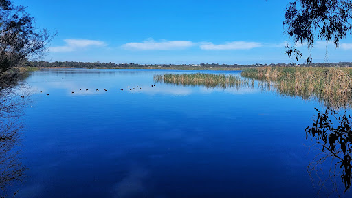 Herdsman Lake Regional Park Gallery - Australia