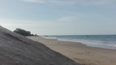 Photos of Allesgarden