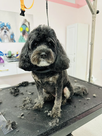 PinkPaw Pet Salon