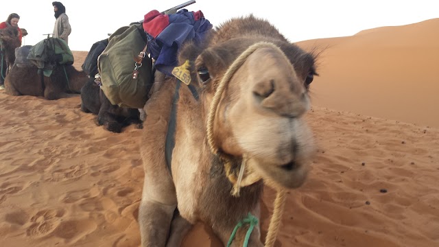Merzouga Camp