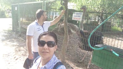 Photos of Canakcilar