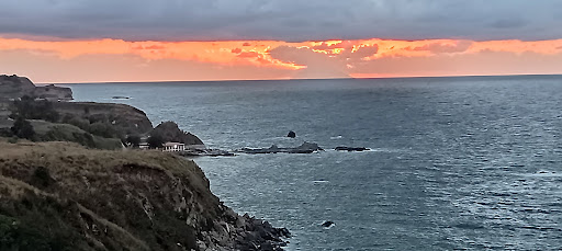 Bed And Breakfast Coral Blue - Thumbnail