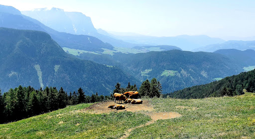 Unterpulg Hütte - Thumbnail