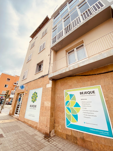 Consulta veterinaria Bejeque