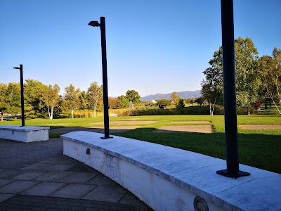 Middlebury College Museum of Art