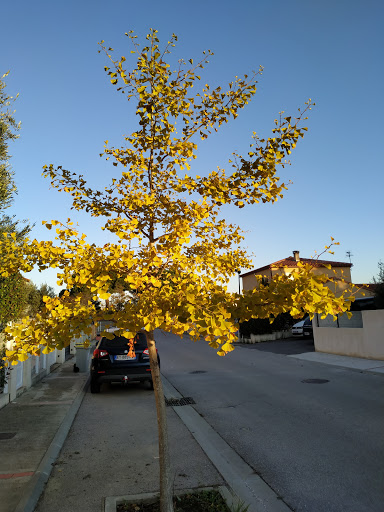 Hornillo Park - Visual