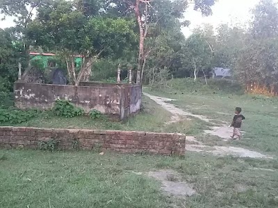 Photos of ভরাজাঙ্গাল জামে মসজিদ