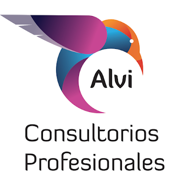 ALVI Consultorios Profesionales, Author: ALVI Consultorios Profesionales