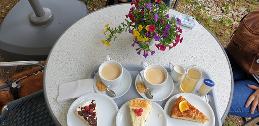 Cafe im Sandsteinmuseum - Thumbnail