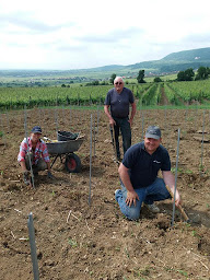 Photo n°5 de Vins d'Alsace Gilbert Meyer à Voegtlinshoffen (Attraction touristique)