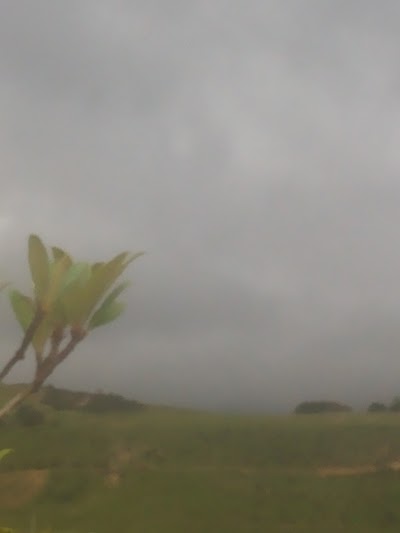 Photos of عين زيتونة