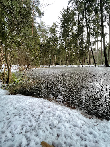 Deglweiher - Visual