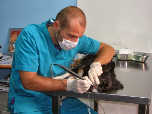 Clínica Veterinaria Alborán