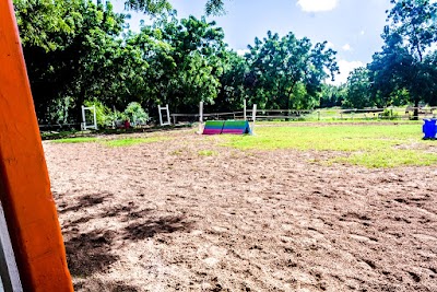 Photos of Spring Hill Riding Club