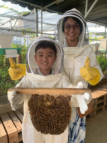 BEE AMAZED GARDEN by null