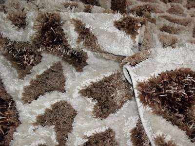 Photos of daisies carpet cleaning darıca