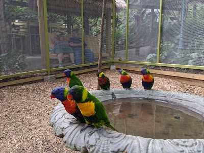 Parrot Mountain and Gardens