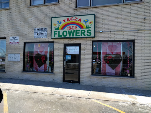 Tecza Flowers - Visual