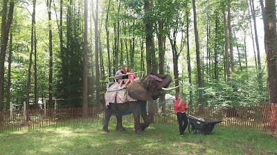 The Great Lakes Medieval Faire