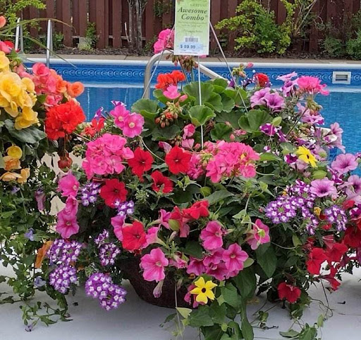 Frattallone's Hardware & Garden - Thumbnail