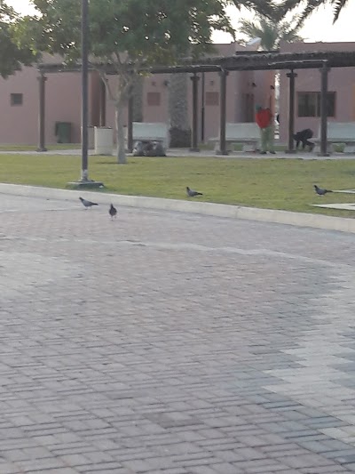 Photos of Arad Fort Beach Park