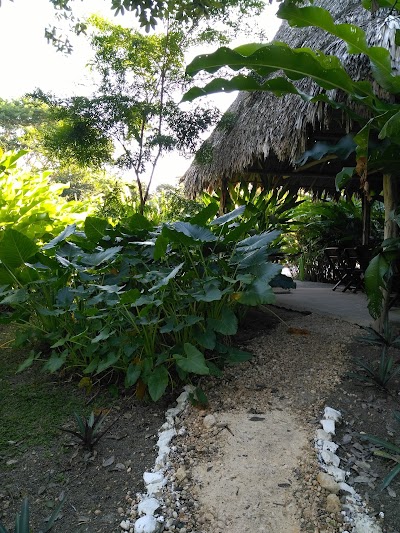Photos of Hotel Villas Magen