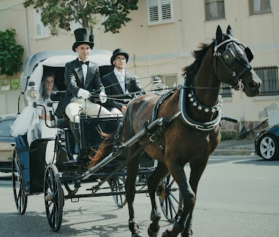 escursioni in sardegna