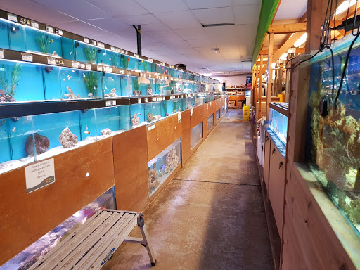 Maidenhead Aquatics Basingstoke - Thumbnail