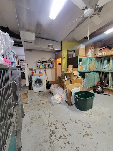 West Hazleton Veterinary Hospital - Thumbnail