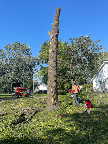 100% Tree LLC