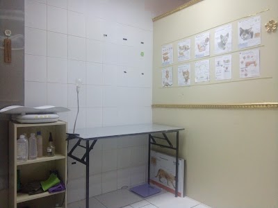 Photos of Elnemr veterinary clinic