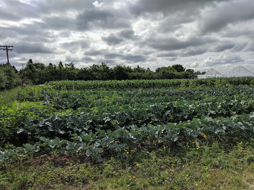 Gamebird Park - Visual