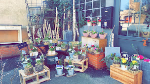 Photo n°2 de La Vieille Branche à Grosbliederstroff (Service de plantes d'intérieur)