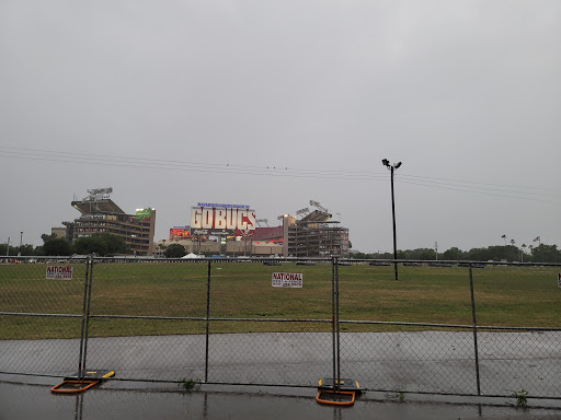 Lot 6D - Visual